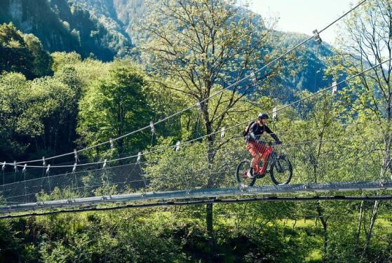 RM Delite mountain touring 47 cm '23 bicicleta electrica rosie (625Wh, Nyon)