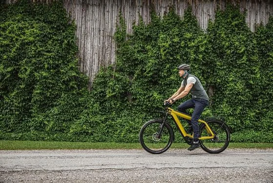 RM Supercharger GT vario HS 53 cm '22 ezüst elektromos kerékpár (1250Wh, Nyon, zár táskával)